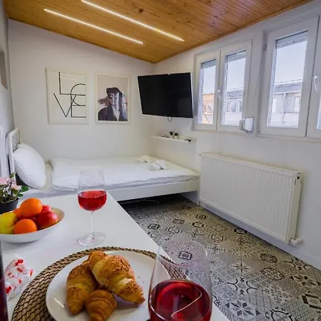 Apartment One Bedroom Flat In Bucharest's Historic District Bucharest